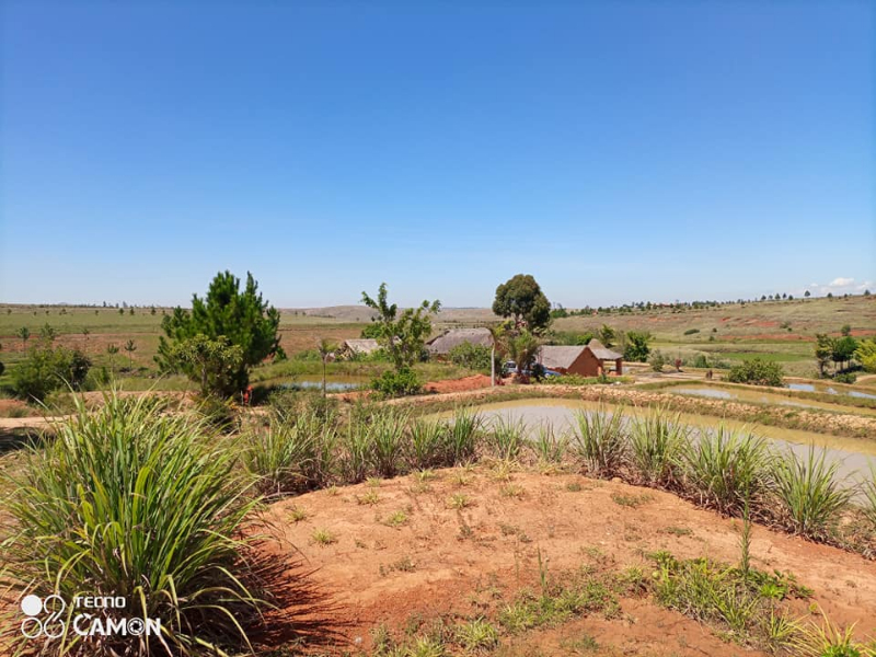 TERRAIN AVEC BASSIN PISCICOLE A ANKAZOBE - Tana Ankazobe, Mada