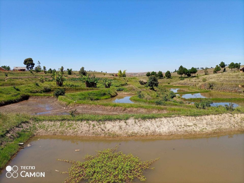 TERRAIN AVEC BASSINS PISCICOLE A ANKAZOBE - Tana Ankazobe, MAda