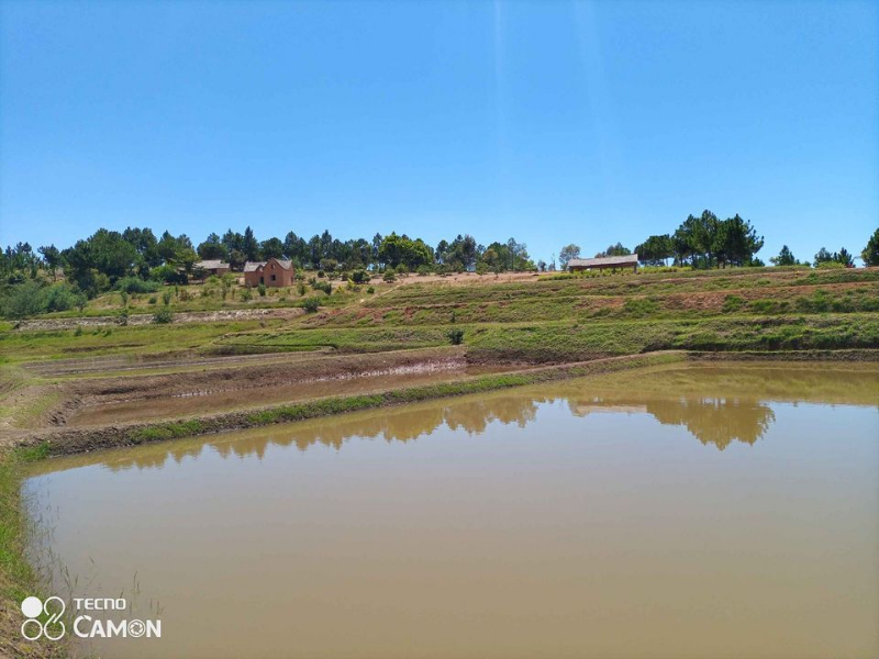 TERRAIN AVEC BASSIN PISCICOLE A ANKAZOBE - Tana Ankazobe, Mada