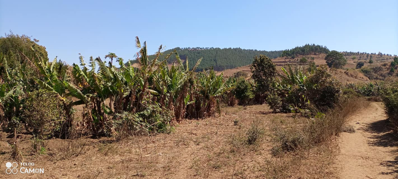 TANY MORA ...ROUTE AMPEFY - Tana Ankazobe, Mada