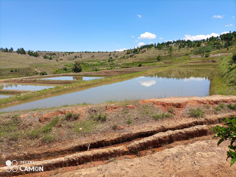A VENDRE TERRAIN AVEC BASSINS PISCICOLE A ANKAZOBE Miniature 3