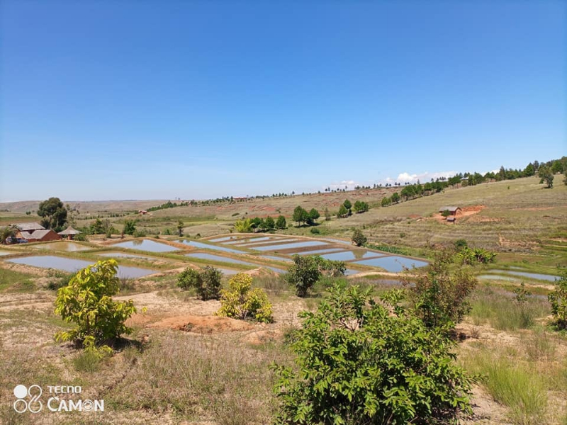 A VENDRE URGENT TERRAIN AVEC BASSINS PISCICOLE A ANKAZOBE Miniature 2