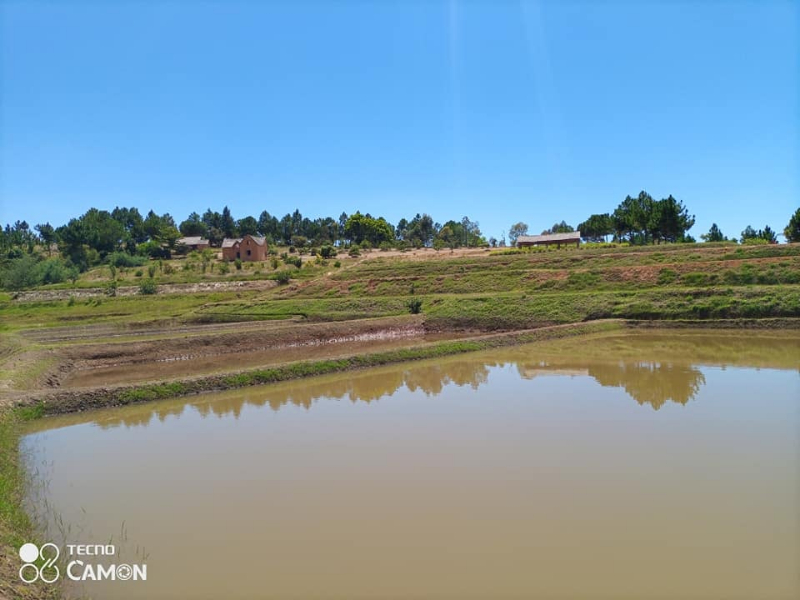 A VENDRE URGENT TERRAIN AVEC BASSINS PISCICOLE A ANKAZOBE Miniature 3