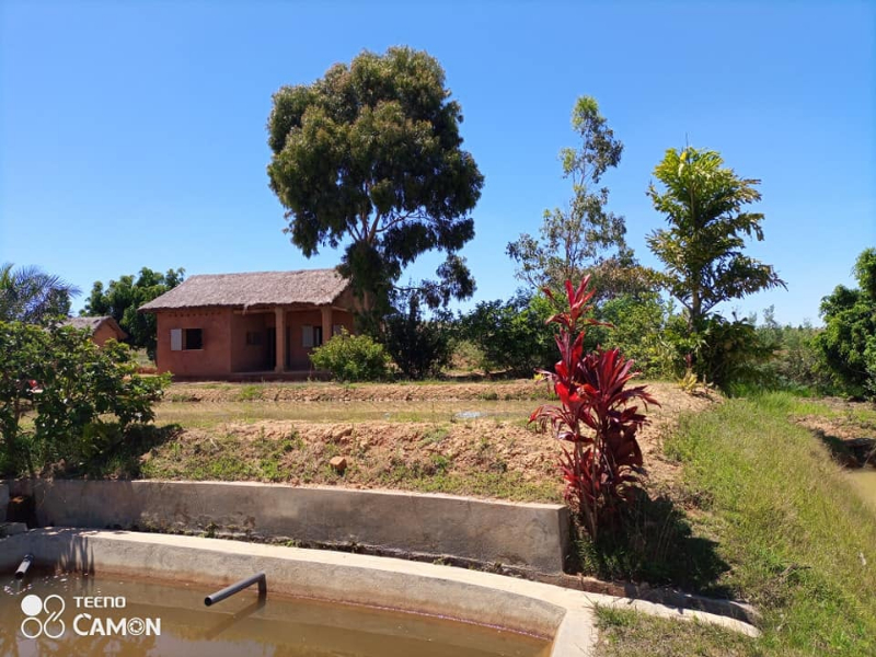 A VENDRE URGENT TERRAIN AVEC BASSINS PISCICOLE A ANKAZOBE - TANA, MADA