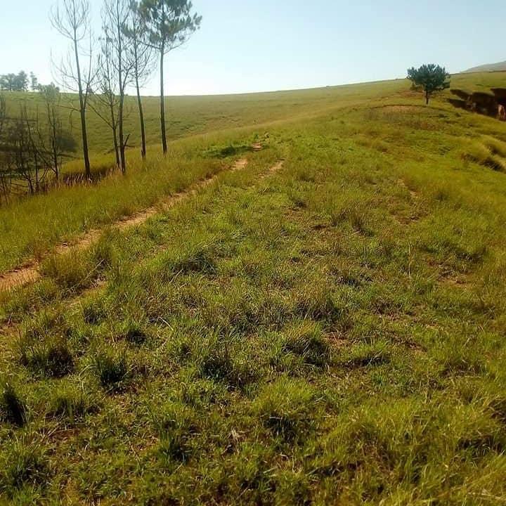 A VENDRE TERRAIN BORD DE ROUTE RN1 Miniature 1