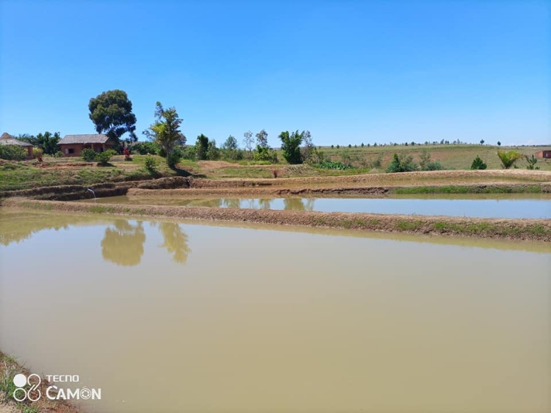 A VENDRE grand Terrain à ANKAZOBE - Tana Ankazobe, Mada