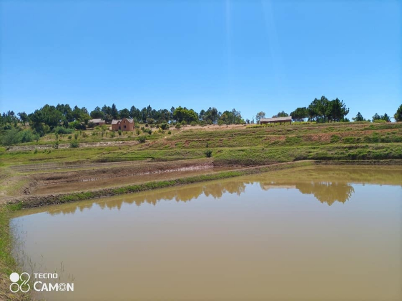 A VENDRE grand Terrain avec Bassins Piscicole à ANKAZOBE - Tana Ankazobe, Mada
