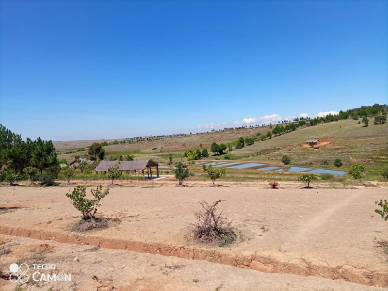 A VENDRE grand Terrain avec Bassins Piscicole à ANKAZOBE Miniature 3