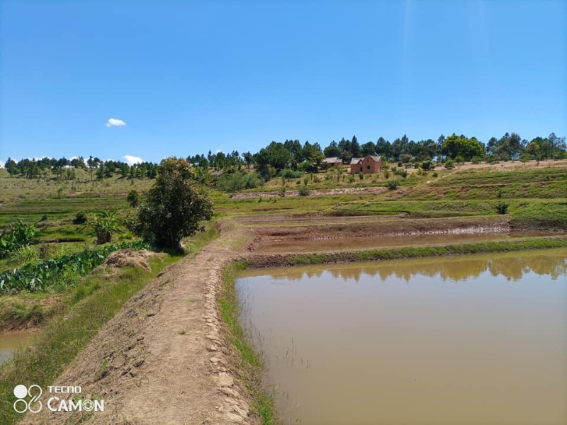 A VENDRE grand Terrain avec Bassins Piscicole à ANKAZOBE Miniature 2