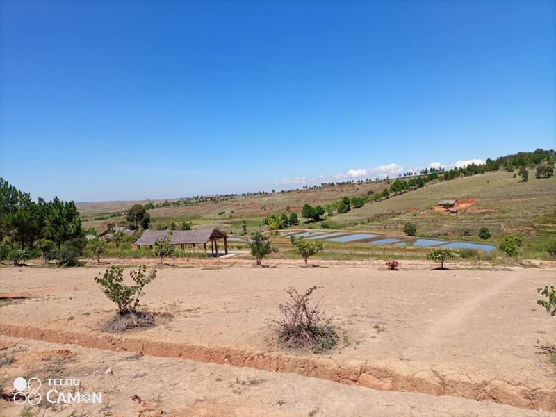 A VENDRE grand Terrain avec Bassins Piscicole à ANKAZOBE - Tana, Mada