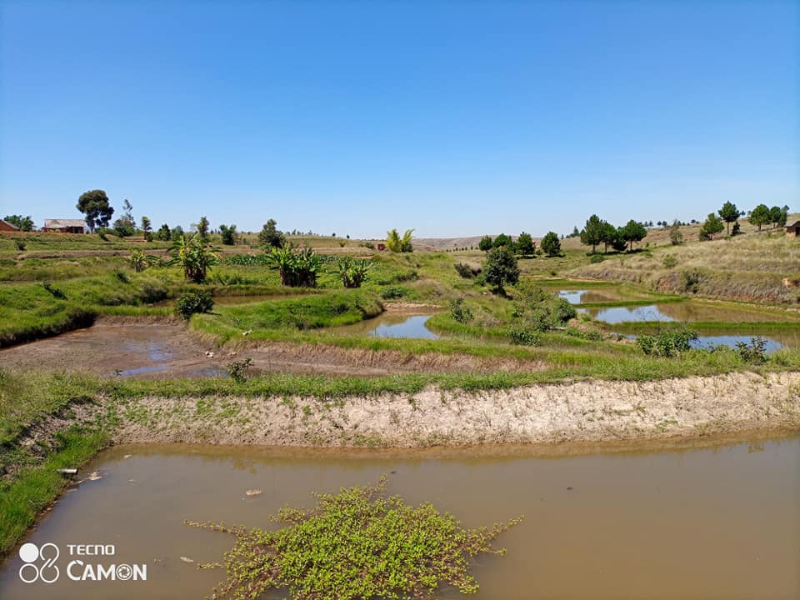A VENDRE UN TERRAIN avec Bassins Piscicole à ANKAZOBE Miniature 1