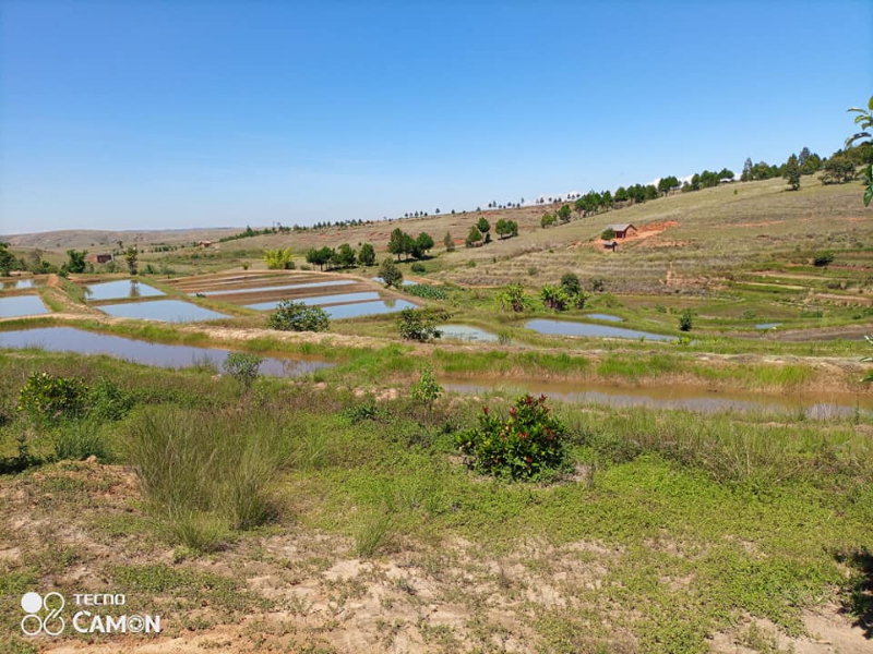 A VENDRE UN TERRAIN avec Bassins Piscicole à ANKAZOBE Miniature 2