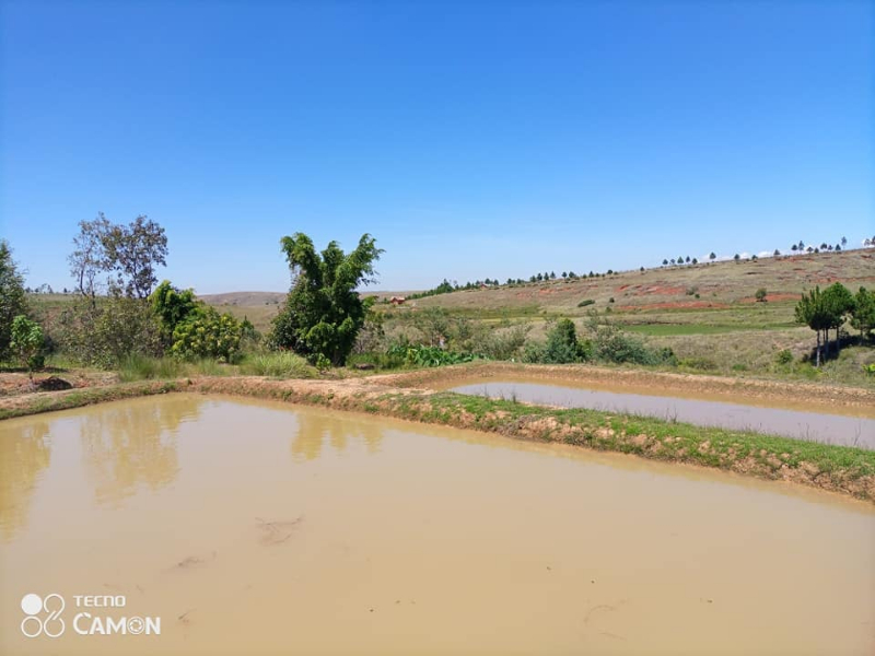 Cause du départ, A VENDRE URGENT UN TERRAIN ANKAZOBE - TANA ANKAZOBE, Mada