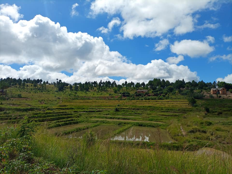 OFFRE SPECIAL...TERRAIN A VENDRE A ANKAZOBE - Tana Ankazobe, Mada