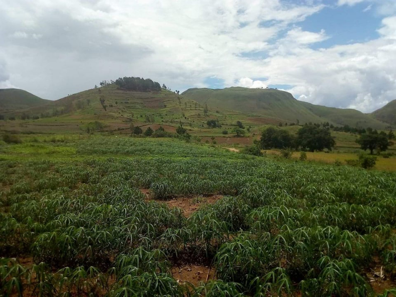 TERRAIN A VENDRE A ANALAVORY - Tana Analavoruy, Mada