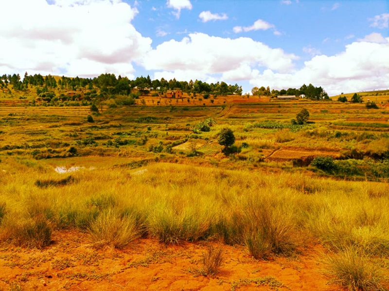 TERRAIN A VENDRE A ANKAZOBE Miniature 3