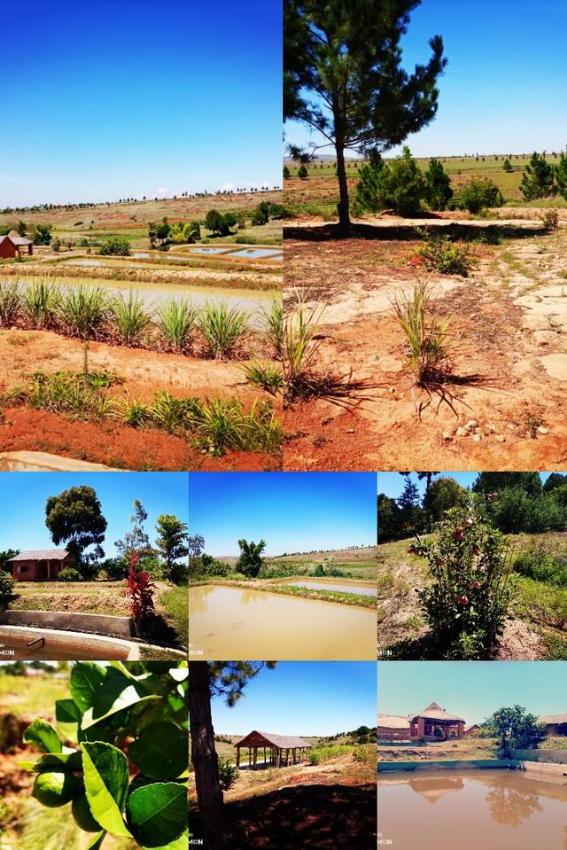 TERRAIN A ANKAZOBE A VENDRE Image principale