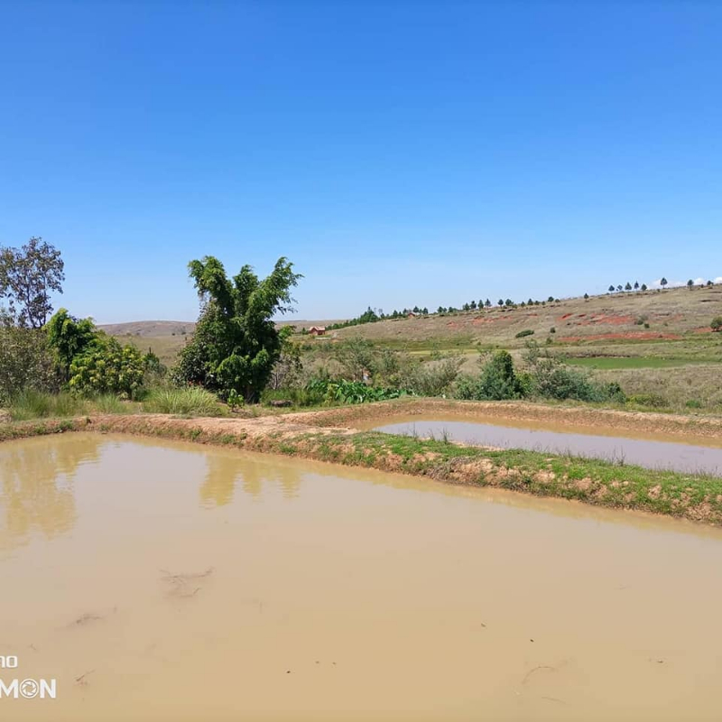 URGENT A VENDRE TERRAIN A ANKAZOBE - Tana, Mada