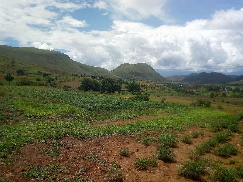 TERRAIN A VENDRE ANALAVORY MORA - tana, mada