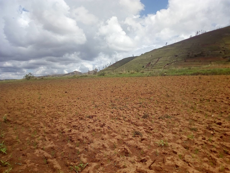 TERRAIN A VENDRE ANALAVORY MORA - tana, Madagascar