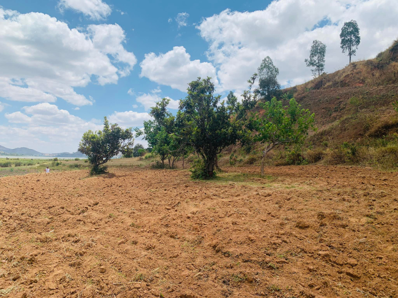 TERRAIN A VENDRE BORD DU LAC AMPEFY - tana, Madagascar