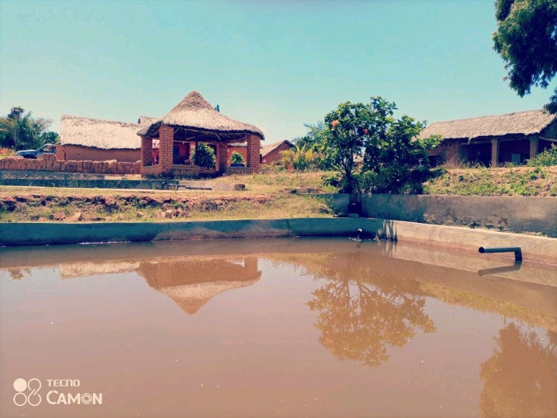 TERRAIN AVEC DES BASSINS PISCICOLE A ANKAZOBE - tana, Mada