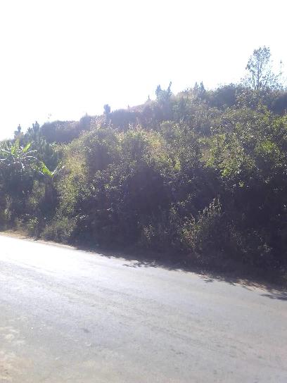 URGENT TERRAIN BORD DE ROUTE AMPEFY  Miniature 1