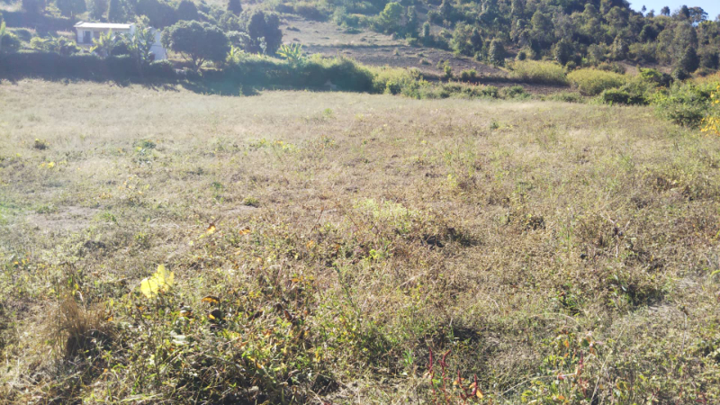 Terrain vue sur lac Ampefy - tana Ampefy, Mada