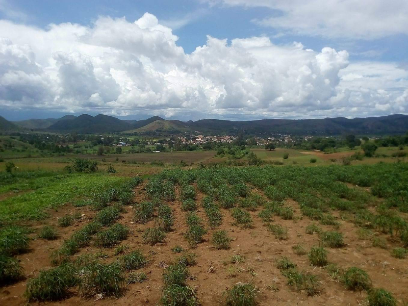 TANY MORA ANALAVORY  .... URGENT - tana, Mada