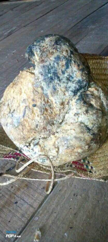 Ambre gris - Toamasina, Madagascar