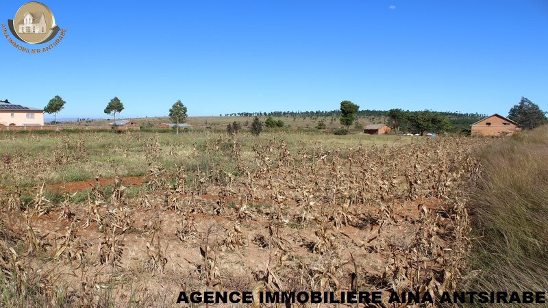 ANDRANOMANELATRA ANTSIRABE A VENDRE – TRÈS BEAU TERRAIN BORD DE ROUTE PRINCIPALE Miniature 1