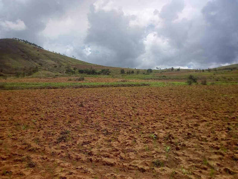 TERRAIN ROUTE VERS AMPEFY  - Tananarivo, Madagascar