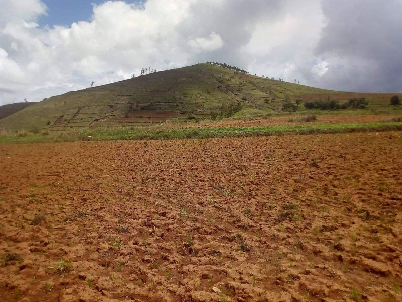 URGENT A VENDRE TERRAIN ROUTE AMPEFY  Miniature 1