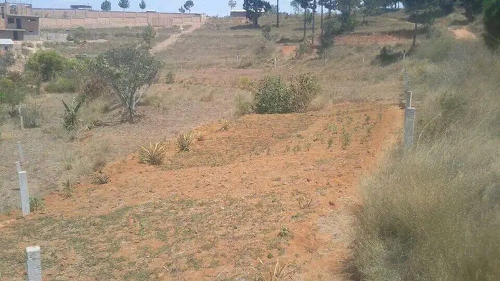 TANY AMBOHIMANGAKELY  - Tana, Mada