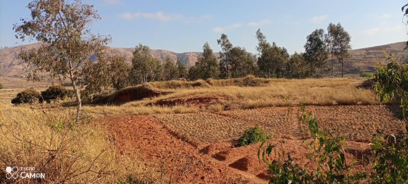 Terrain bord de route RN 1. - Tana Analavory , Mada