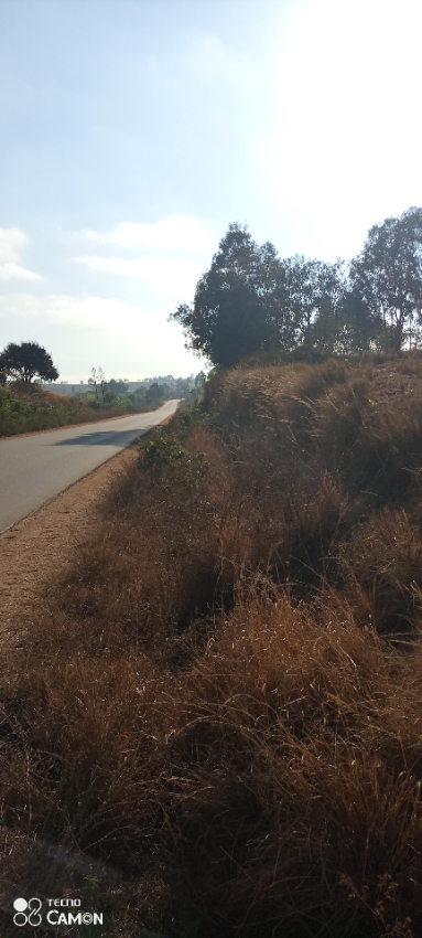 Terrain bord de route RN 1. Miniature 2