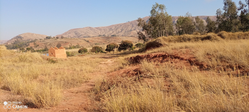 Terrain bord de route RN 1. Miniature 3