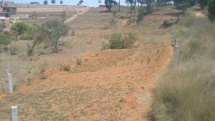 TERRAIN AMBOHIMANGAKELY - tana, madagascar