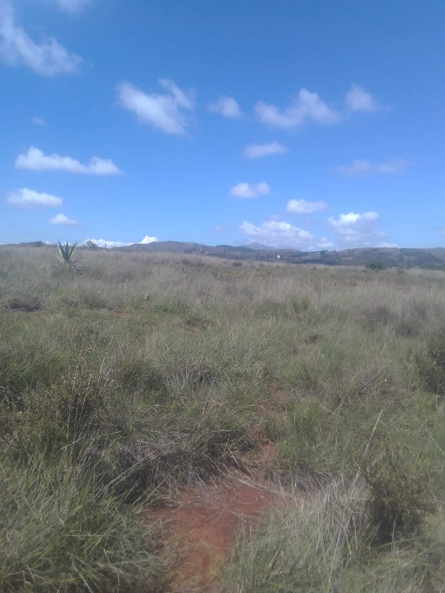 TERRAIN A MIARINARIVO - MIARINARIVO, mada