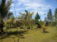 Terrain à vendre situé à 26 km de Toamasina sur RN5 image 1