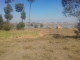 URGENT A VENDRE TERRAIN BORD DU LAC IVATO ANDRANOMALAZA image 1