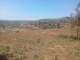 A VENDRE TERRAIN ANTANETIBE IKIANJA AVARATRA image 2