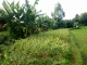 Terrain a Ampefy image 2