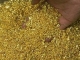 Cherche poudre d'or 24carats +500G à Tàna