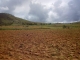 TERRAIN ROUTE VERS AMPEFY 