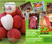 zoma de Noel 2009 image 0