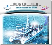 Soirée en catamaran image 0