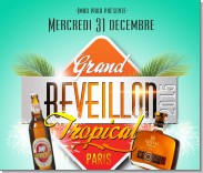 REVEILLON TROPICAL D&Eacute;ZIL image 0