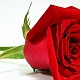 Amour, amitié, conseil title=